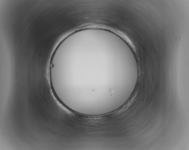 X0000111811247200907231009