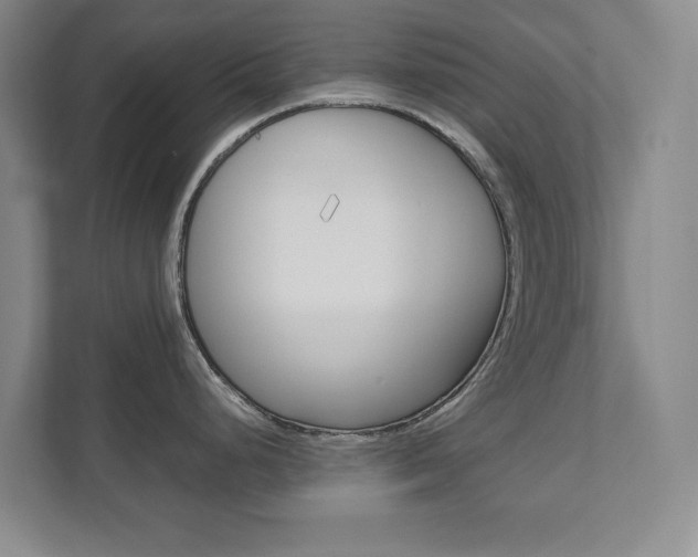 X0000111811248200907231009
