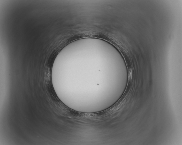 X0000111811251200907231009