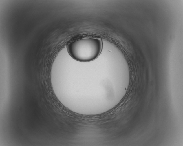 X0000111811253200907231009