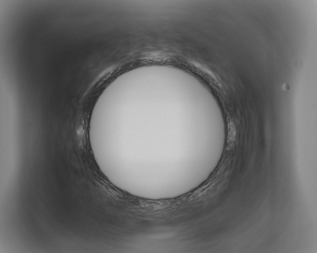 X0000111811254200907231009