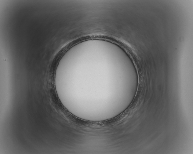X0000111811255200907231009