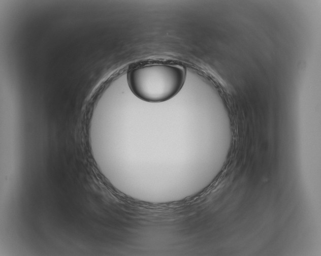 X0000111811256200907231009