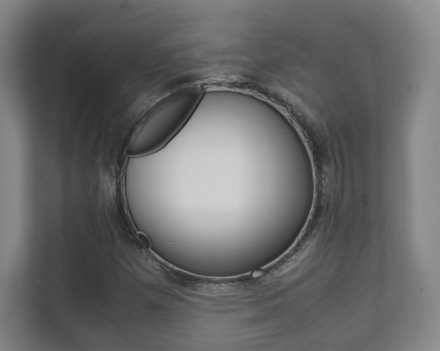 X0000111811257200907231009
