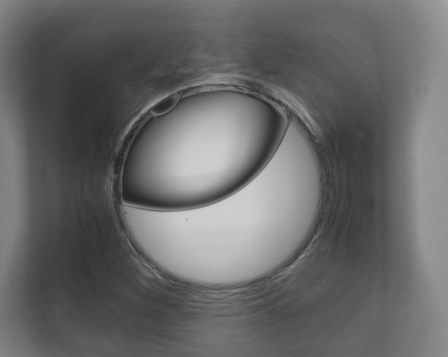 X0000111811260200907231008