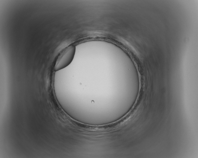 X0000111811261200907231008