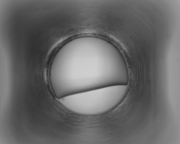 X0000111811262200907231008