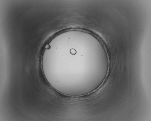 X0000111811263200907231008