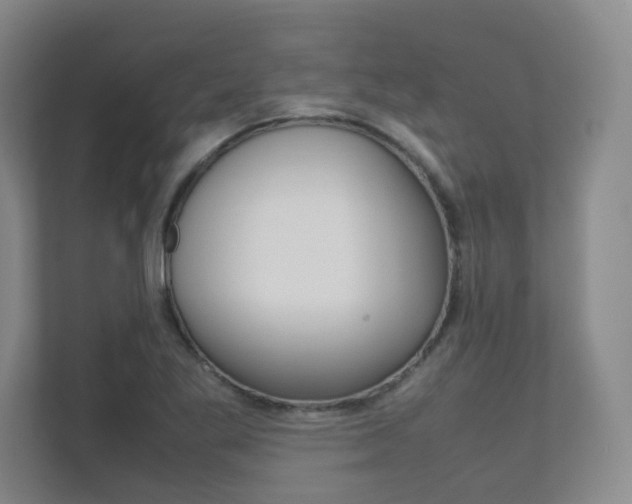 X0000111811269200907231008