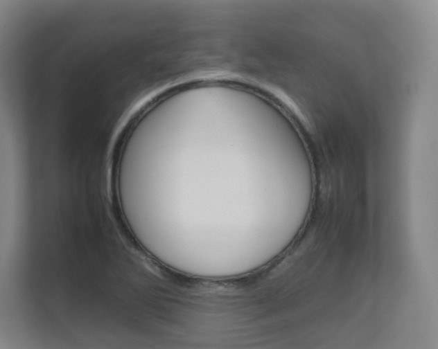 X0000111811270200907231008