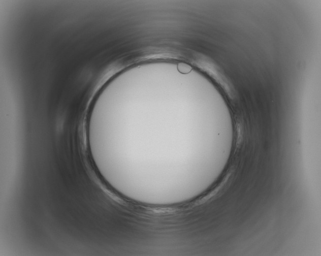 X0000111811274200907231008