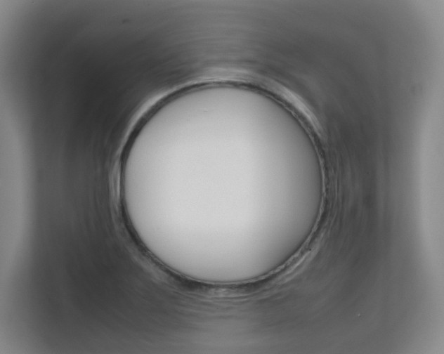 X0000111811275200907231008