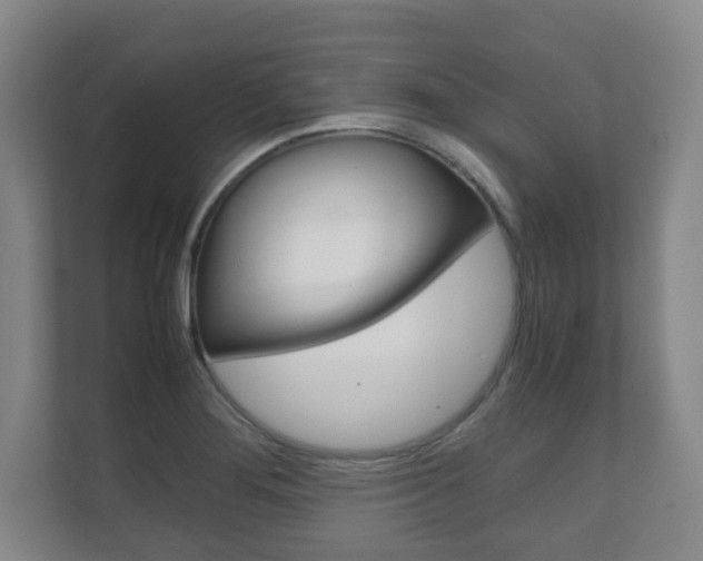 X0000111811276200907231008