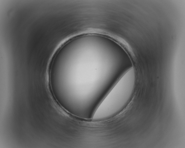 X0000111811280200907231008