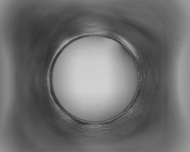 X0000111811291200907231008