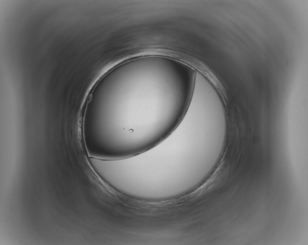 X0000111811292200907231008