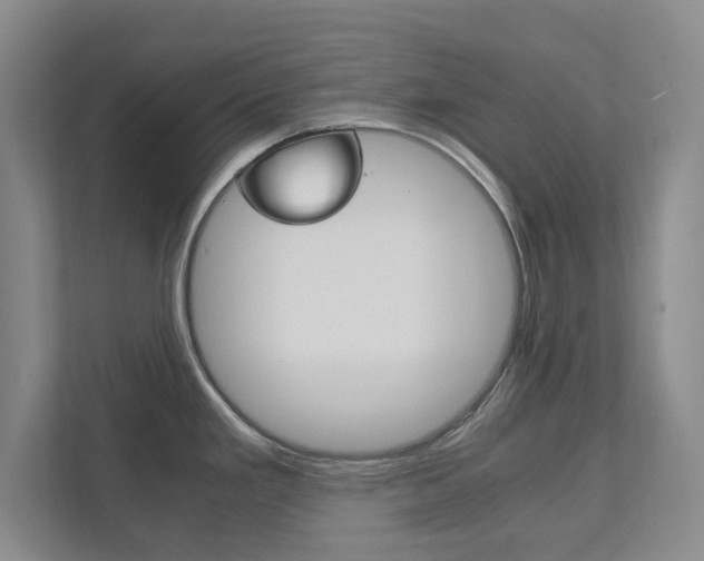 X0000111811293200907231008