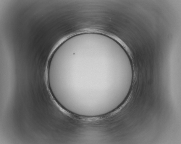 X0000111811294200907231008