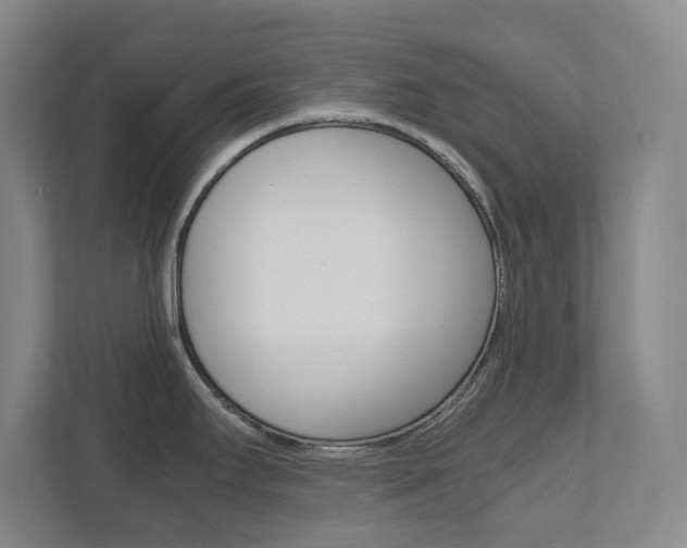 X0000111811295200907231008