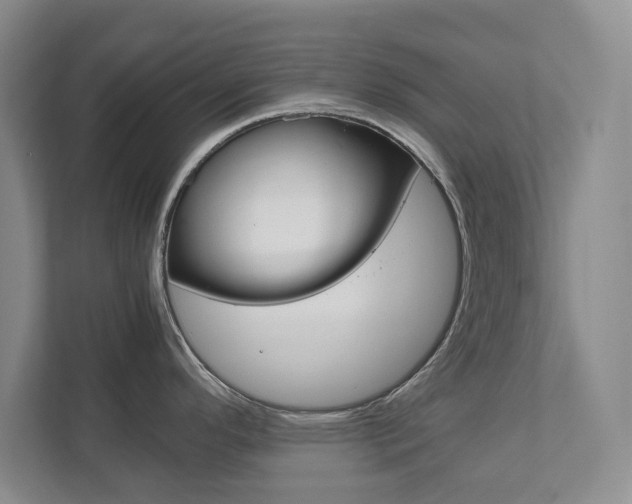 X0000111811296200907231008