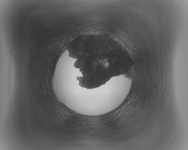 X0000111811297200907231007