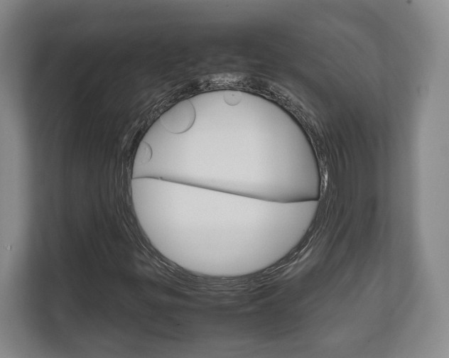 X0000111811299200907231007