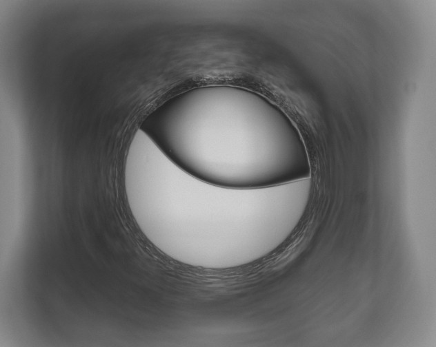 X0000111811300200907231007