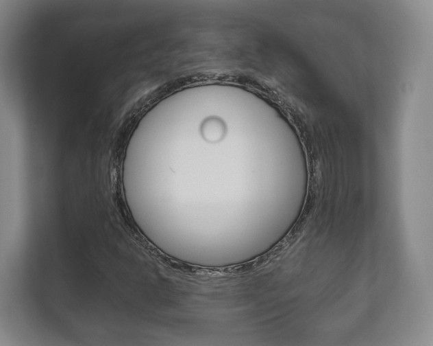 X0000111811302200907231007