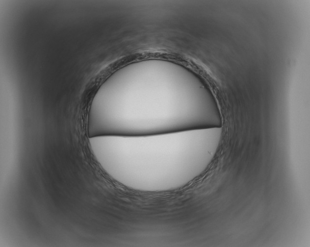 X0000111811303200907231007