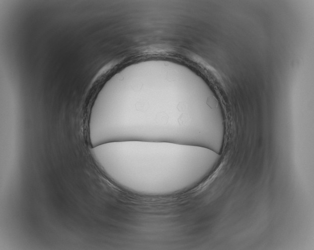 X0000111811306200907231007