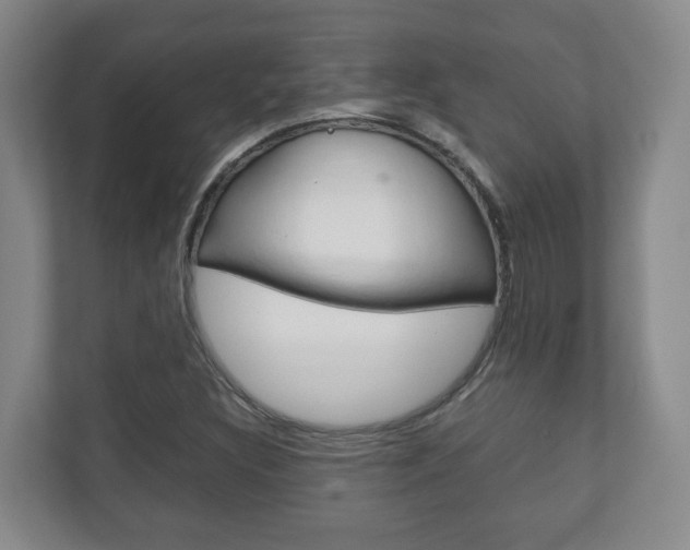 X0000111811308200907231007