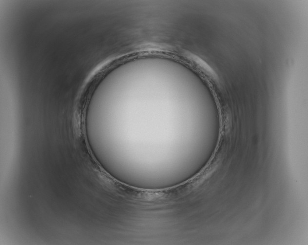 X0000111811310200907231007