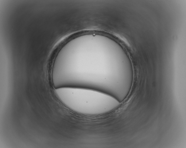 X0000111811311200907231007
