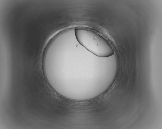 X0000111811312200907231007