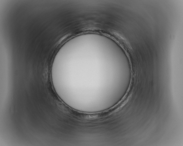 X0000111811313200907231007