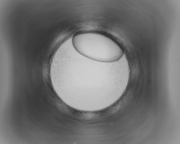 X0000111811314200907231007