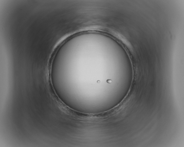 X0000111811316200907231007