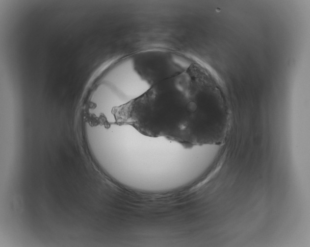 X0000111811317200907231007