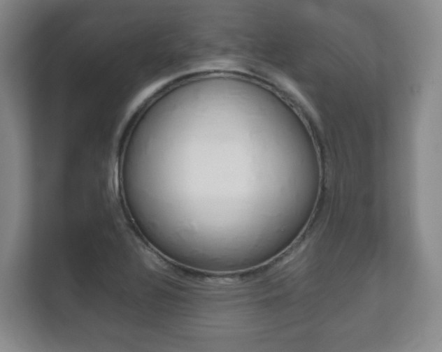 X0000111811320200907231008