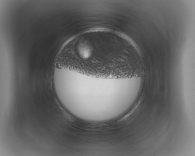 X0000111811321200907231008