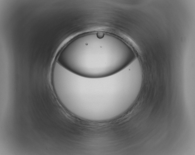 X0000111811324200907231008