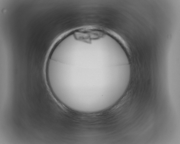 X0000111811327200907231008