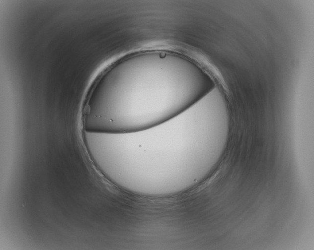 X0000111811328200907231008
