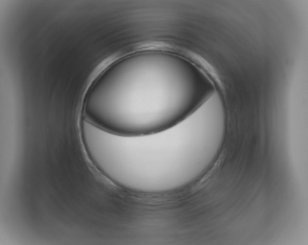X0000111811330200907231008