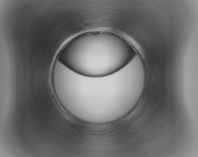 X0000111811332200907231008