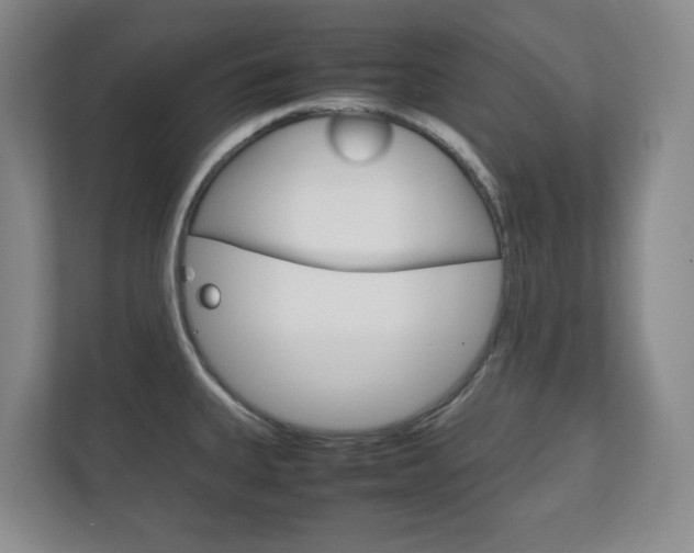 X0000111811335200907231008