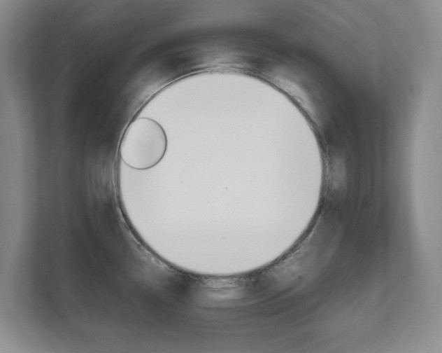 X0000111811338200907231008