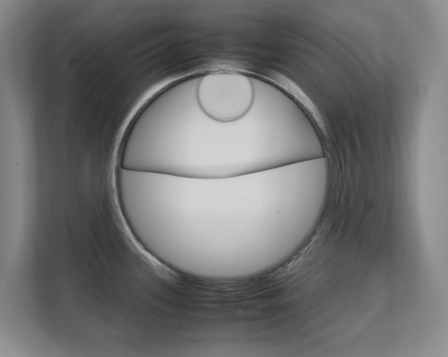 X0000111811339200907231008