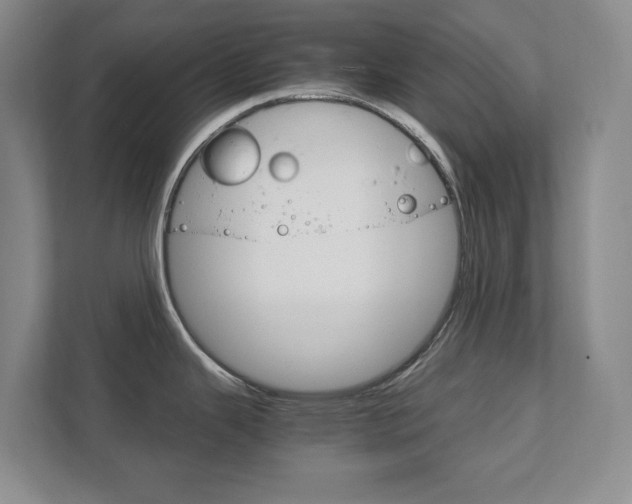 X0000111811343200907231008