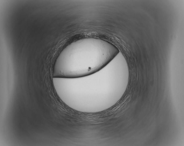 X0000111811345200907231007